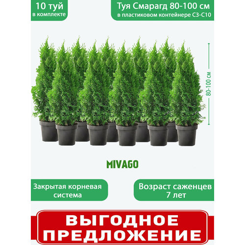 ���������� ��� �������� ������� C3, ������ 80-100 ��, ������� ������ 19 ��, 10 ��������