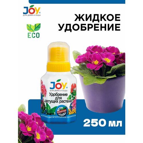    JOY   , 250   , -, 