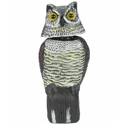 ���������� ���������� � �������� (2-�-1) ������������ ���� 