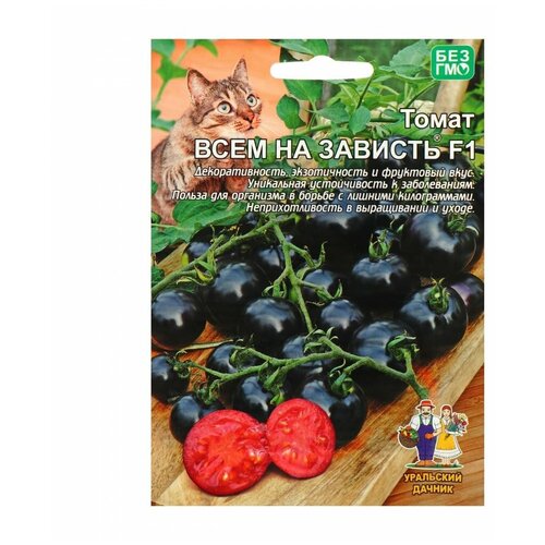 ���������� ������ ��������� ������ ����� ���� �� ������� F1, 20 ��.