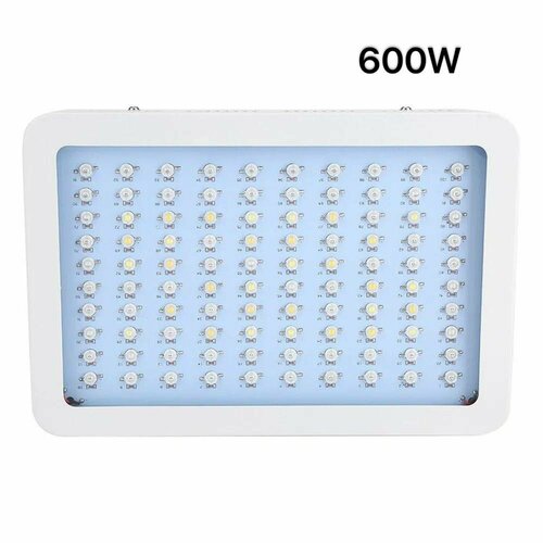    LED LIGHTS 600W   , -, 