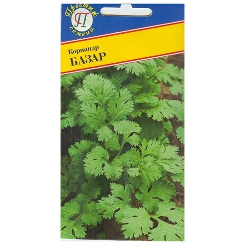 ���������� �������� (�����) �����. ������. 1 �����-1 ��. �������� ������ ������������, ������������, ������� �����������, ������� �������