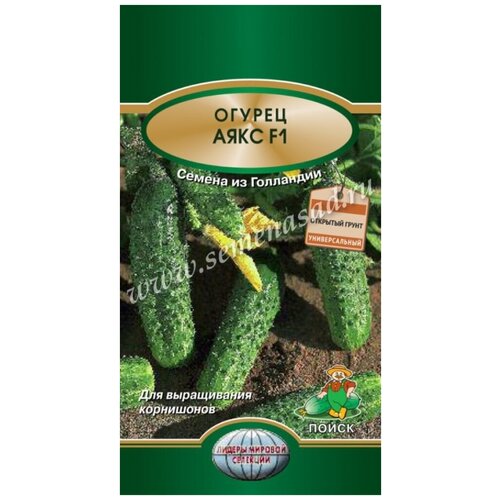 ���������� ������ ���� F1 10�� �� ���� (�����) - 10 ��