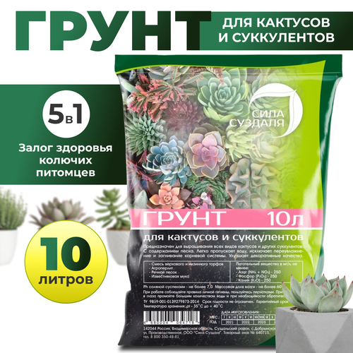 ���������� ����� (�����) ���� ������� ��� �������� � �����������/ ������� �������� ��������, 10�