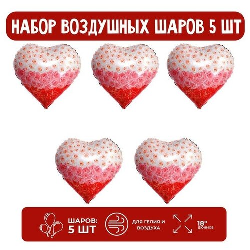 ���������� ����� ��� �������������� 18