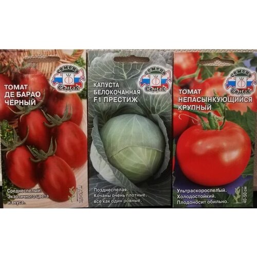 ���������� ����� ����� �����, ������� ������� F1-3 ������