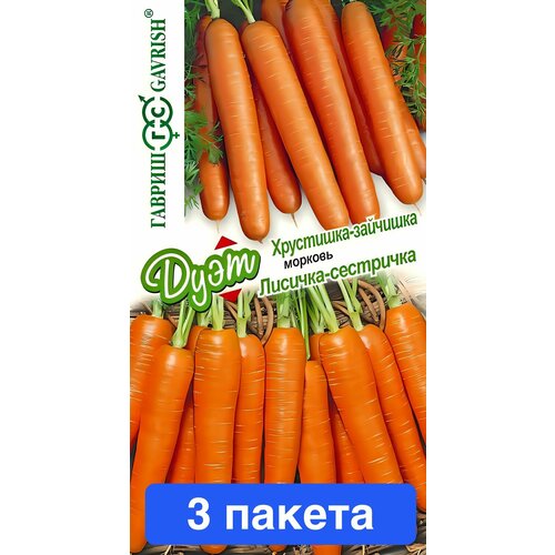 ���������� ������ ������ ������ 