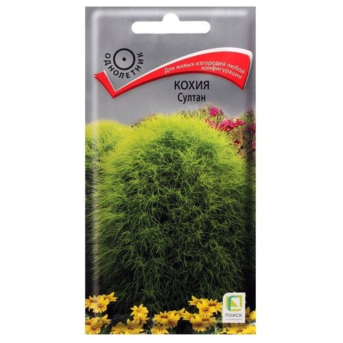 ���������� ������ ����� ����� ������ 0.1 �