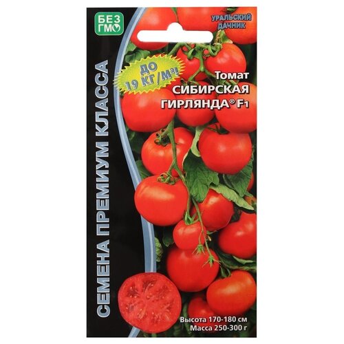 ���������� ������ ��������� ������ ����� ��������� �������� F1, 10 ��