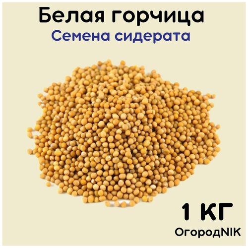 ���������� ������� ����� ������� 1 ��