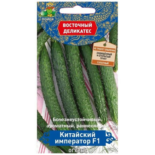 ���������� ������ ������ ��������� ��������� F1 5 �� (�����) (�����)