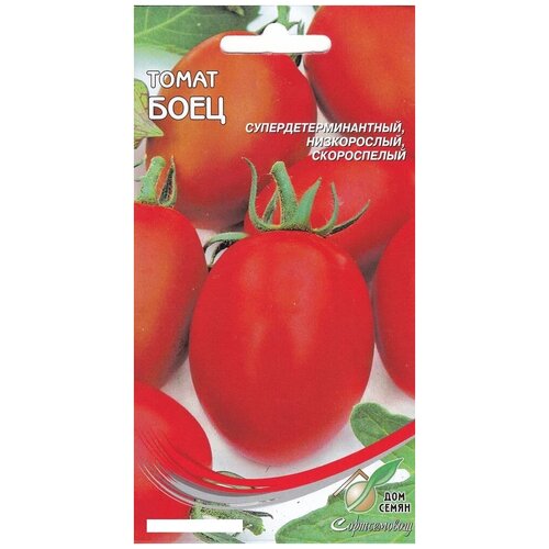 ���������� ����� ����, 25 �����