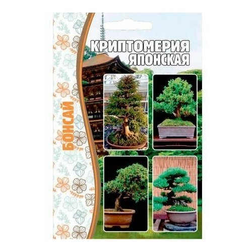 ���������� ����������� ��������/ ������ / ������ / ��������� �������� / ������ ������ / ������ ��������