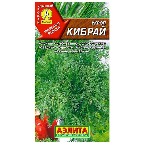 ���������� ������ ����� ������ 3 ��.