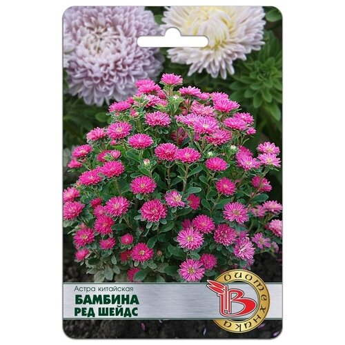 ���������� ������ ����� ��������� 