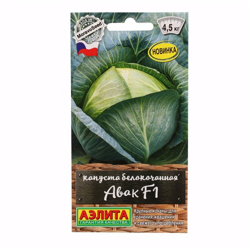 ���������� ������ ������� �/� ���� F1 --- � ���. ���. ���. 0,1� �/�