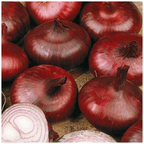 ���������� ������ ����� ��� �������� �������� 1 �