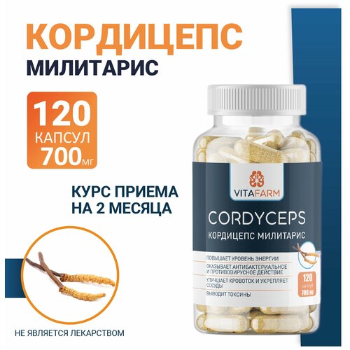   (Cordyceps militaris)  120 / 700    , -, 