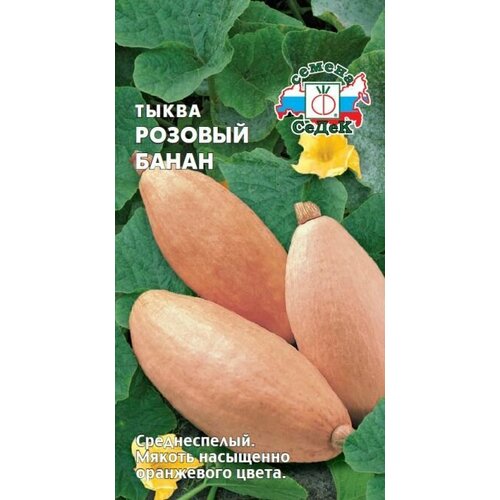 ���������� ����� ������� �����, 1 �����, ������ 1�, �����