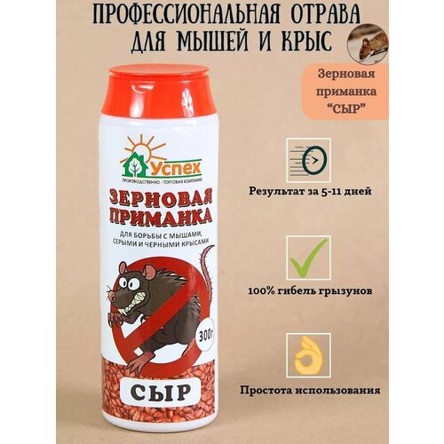 ���������� ������ ������ ��� ����� � ����, ���