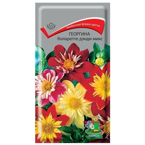 ���������� ������ �������� ����� ��������� ����� ����