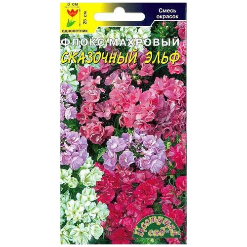 ���������� ������ �������� ��� 