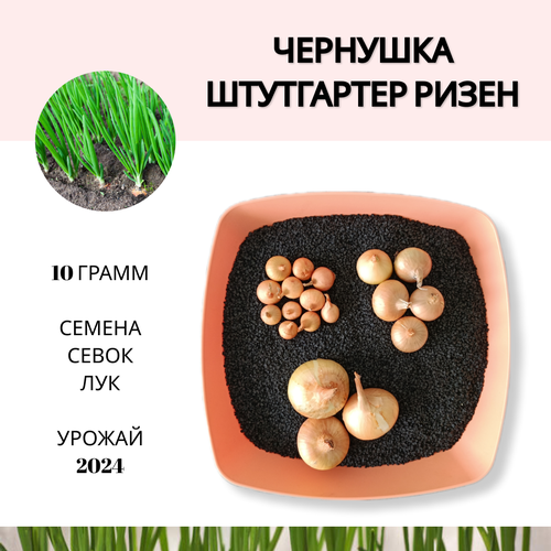 ���������� ������ ���� ����� 10 ����� �������� ���������� �����, ��� ������ � ����������� ������,