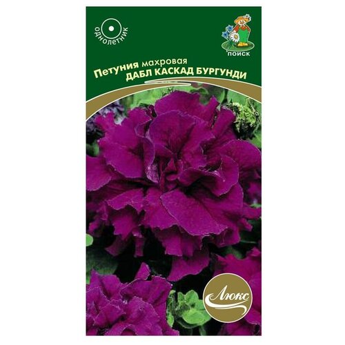 ���������� ������ ����� ���� ������� �������� ���� ������ �������� 10 ��.