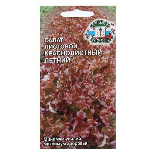 ���������� ������ ����� ����� �������� ������������� ������