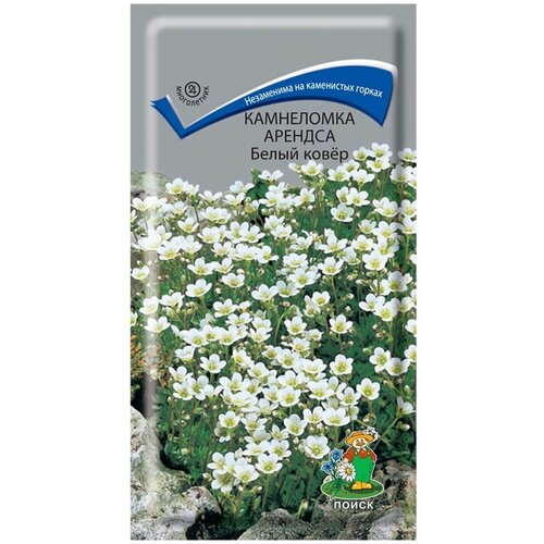 ���������� ������ ���������� ������� ����� �����