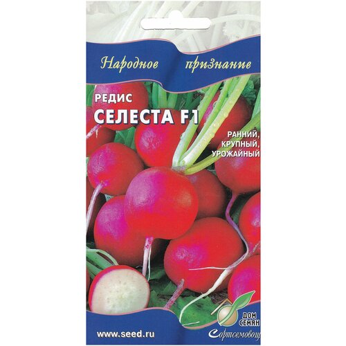 ���������� ����� ������� F1, 60 �����