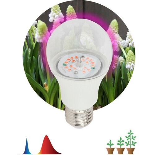 ���������� ��������� ��� �������� ������������ ��� FITO-14W-RB-E27-K ������-������ ������� (������) ����� 14�� �27 21 ������/� 380.780�� 1300� 230� (�0039071) (�������� 8 ��)