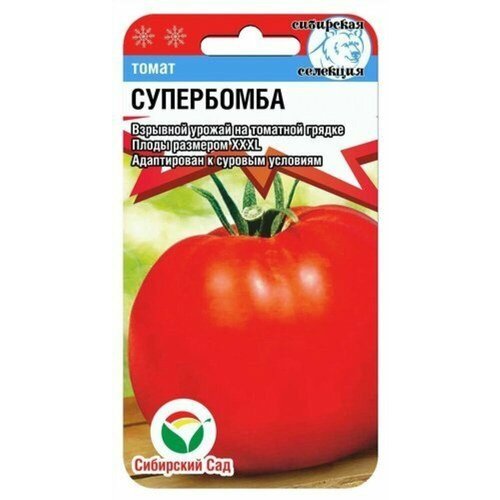 ���������� ������ ����� ���������� 20�� ��� (��������� ���)