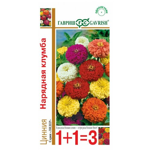 ���������� ������, ������ �������� ������, (������� ) �����, ����� 1+1 0,5 �����