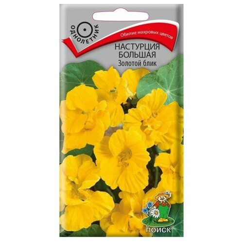 ���������� ������ ����� ��������� ������� ������� ���� 1 �