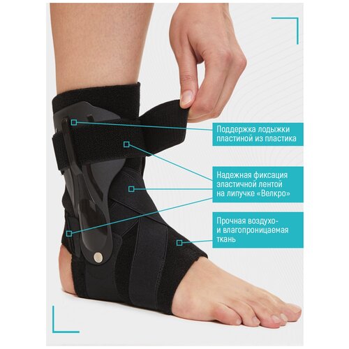 ���������� Glanis ������ ������������� �������� �������������� ������� � ������� ���������, ������, ������ L