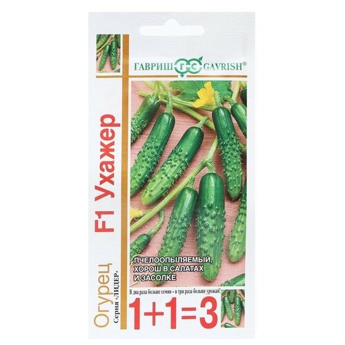 ���������� ������. ������ �������������� 