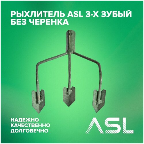  ASL 3-      , -, 