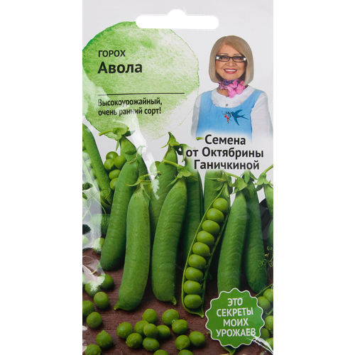 ���������� ������ ����� ������ 10 �