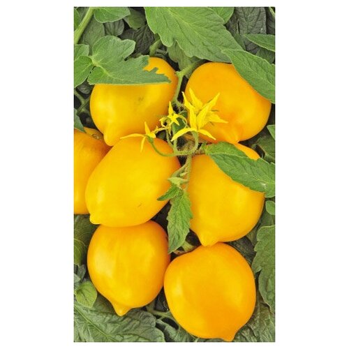 ���������� ����� ����� ����� ~ 20 �����