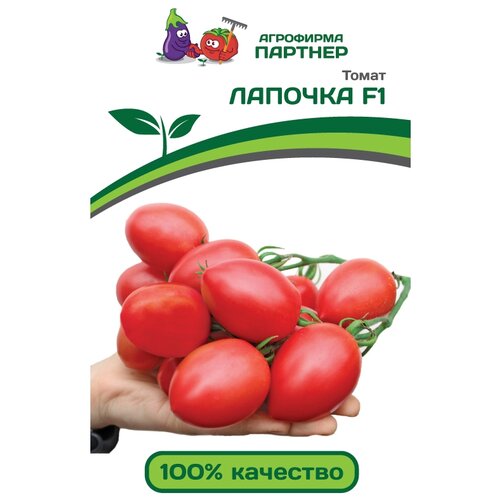 ���������� ������ ��������� ������� ����� ������� F1 10 ��.