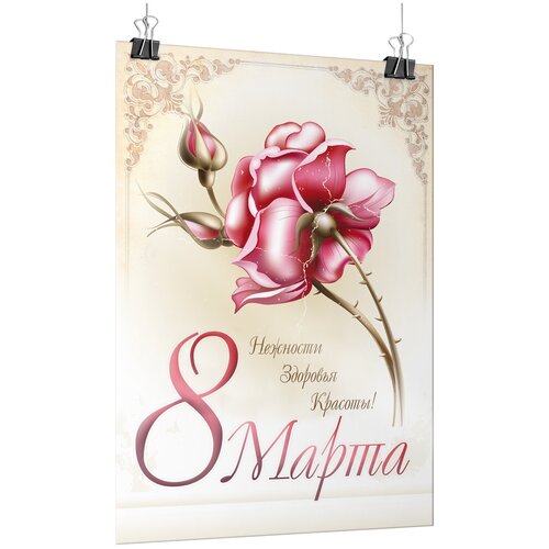 ���������� ������ �� 8 ����� / �-0 (84x119 ��.)