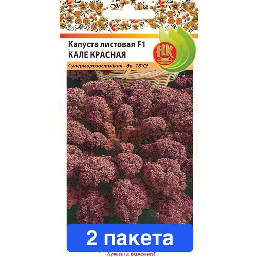 ���������� ������ ������ ������� ������ 