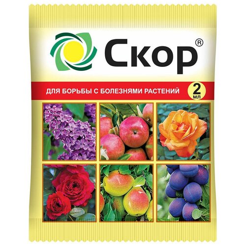 ���������� ���� ��������� ��������� �������� ����, 2 ��, 2 �