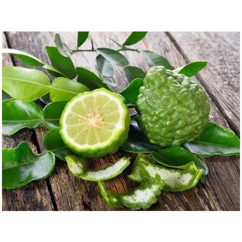 ���������� ������ ����� ���� 3�� (�������� ����)