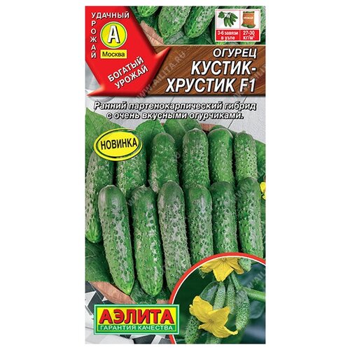 ���������� �������! ������ ������� ������������������� ������� � ����������� ����������! ������-������� F1 7 ��. (������)