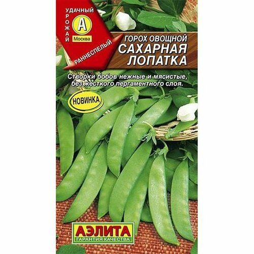 ���������� ������. ����� �������� 