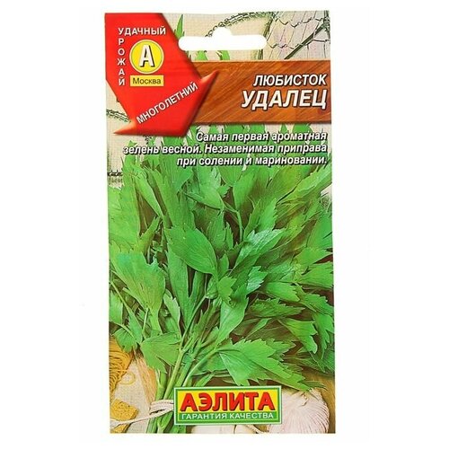 ���������� ������ �������� 