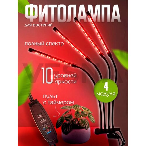 ���������� ������������ ��������� - ��� ��������, ������ � �������/������/4 �����������