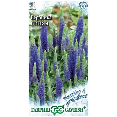 ���������� ������, �������� ����� (�������������), ����� �������� � ���������� 0,02 ������